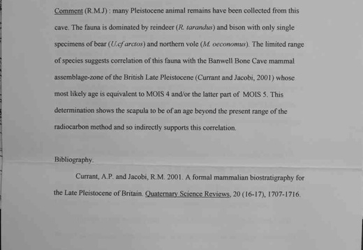 Page 147insert bJPG